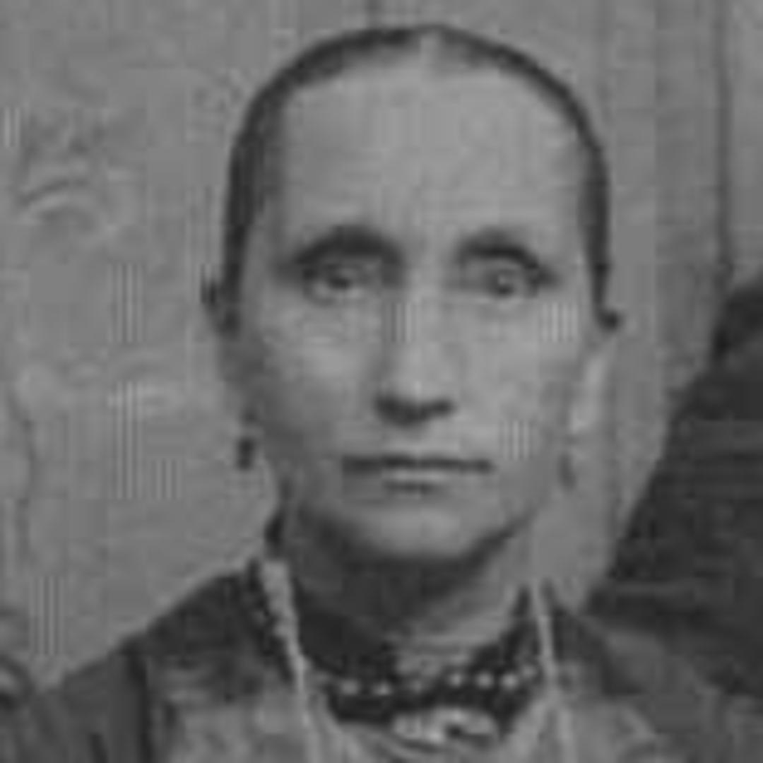 Lola Ann Amelia Tyler (1840 - 1910) Profile